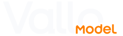 Dongguan Vallo Model Technology Co, Ltd.