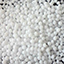 pom.png